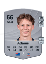 Adams 66