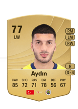 Aydın 77