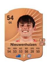 Nieuwenhuizen 53