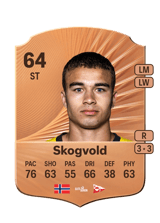 Skogvold 64
