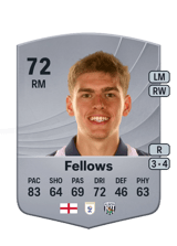 Fellows 72
