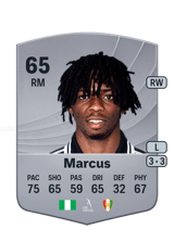 Marcus 65