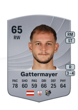 Gattermayer 65