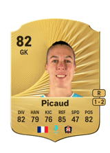 Picaud 83