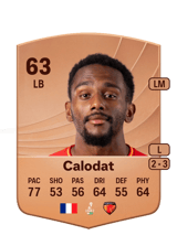 Calodat 63