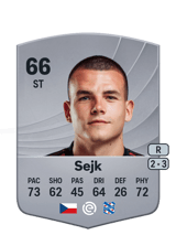 Sejk 66