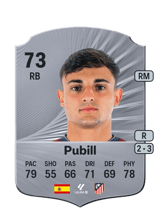 Pubill 73