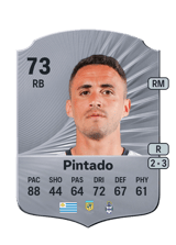 Pintado 73