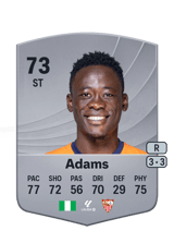 Adams 73