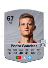 Pedro Ganchas 67