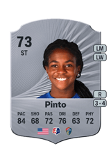 Pinto 73