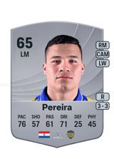 Pereira 65