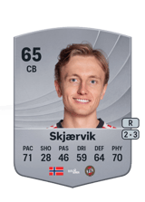 Vetle Skjærvik 65