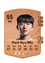 Park Kyu Min 55