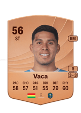 Vaca 56
