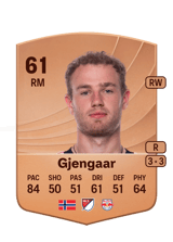 Gjengaar 61