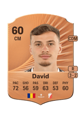 David 60