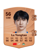Lu Yongtao 55