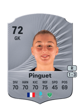Pinguet 72