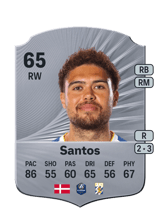 Santos 65