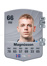 Magnússon 66