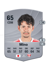 Mino 65