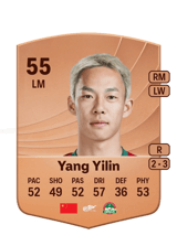 Yang Yilin 55
