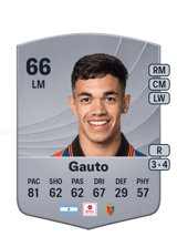 Gauto 66