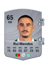 Rui Mendes 65
