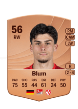 Blum 56