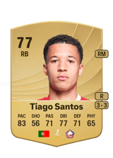 Tiago Santos 77