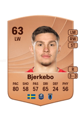 Bjerkebo 63