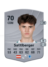 Sattlberger 70