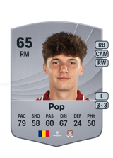 Pop 65