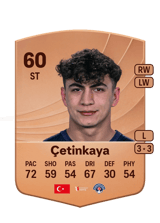 Çetinkaya 60