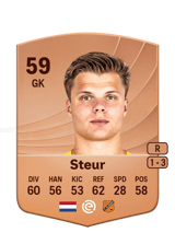 Steur 59
