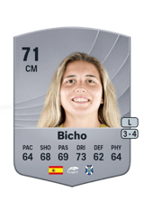 Bicho 71