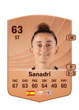Sanadri 63