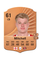 Mitchell 61