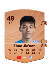 Zhao Jia'nan 49