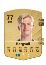Bergvall 77