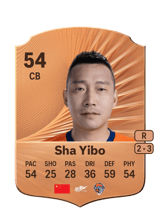 Sha Yibo 54