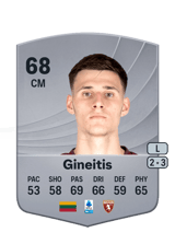 Gineitis 68