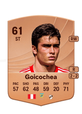 Goicochea 61