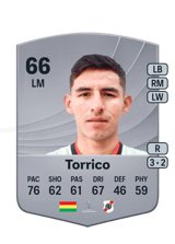 Torrico 66