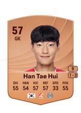 Han Tae Hui 57