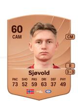 Sjøvold 60