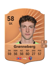 Grønneberg 58