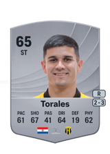 Torales 65