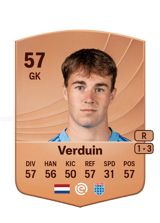 Verduin 55